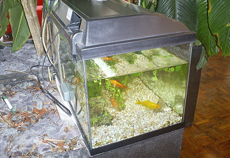 2-puntsperspectief gefotografeerd