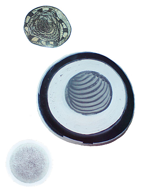 Example of a compilation; for more information contact info@leidihaaijer.nl